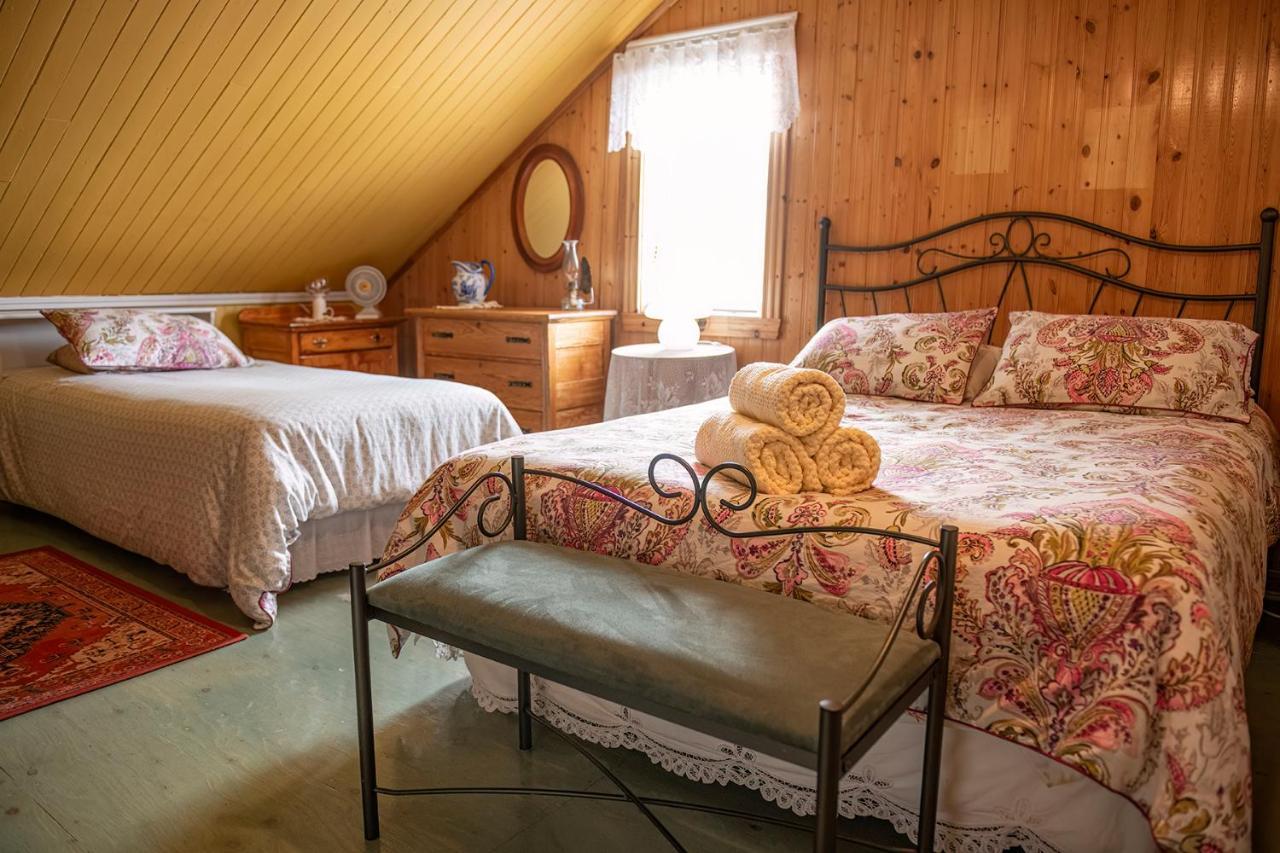 Bed & Cafe Petit Papillon Bed & Breakfast Grandes Bergeronnes Bagian luar foto